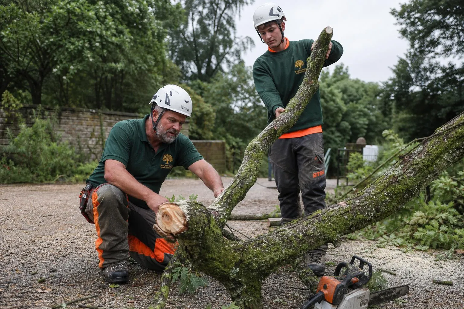 Emergency Tree Removal in Caterham, We Answer 24 Hours a Day