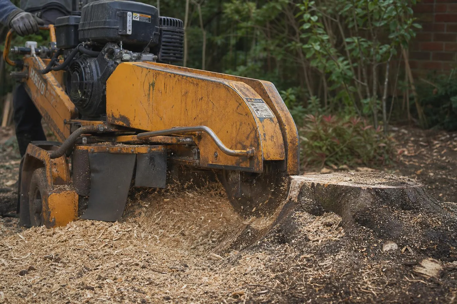 Stump Grinding in Caterham & Surrey